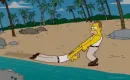 Kita serija - Simpsonai 17 sezonas 10 serija