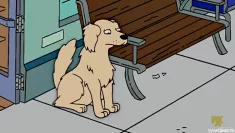 Simpsonai 18 sezonas 2 serija